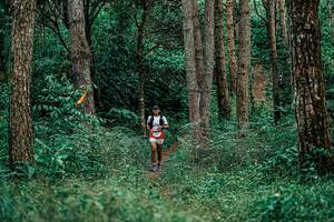 BIB: 
                            <button type="button" onclick="openModal(25237670)" class="btn btn-primary btn-sm float-right btn-popup" data-toggle="modal" data-target=".modal-high-quality">
                        <i class="fas fa-shopping-cart"></i> Add to Cart
                    </button>
                                            <button type="button" onclick="isThisMe(25237670, true)" class="btn btn-success btn-sm float-right btn-popup btn-isme hidden" data-toggle="tooltip" data-placement="bottom" title="นี่คือรูปของคุณใช่ไหม คลิกที่นี่เพื่อเอาเข้าอัลบั้ม">
                        <i class="fas fa-plus"></i> Add to album
                    </button>
                    <button type="button" onclick="isThisMe(25237670, false)" class="btn btn-warning btn-sm float-right btn-popup btn-isnotme hidden">
                        <i class="fas fa-ban"></i> Remove from album
                    </button>